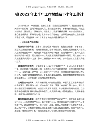 镇2022年上半年工作总结及下半年工作计划（5）