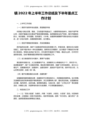 镇2022年上半年工作总结及下半年重点工作计划