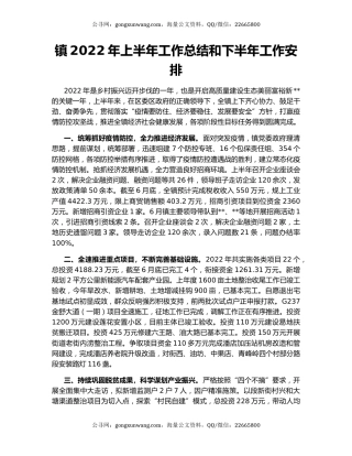 镇2022年上半年工作总结和下半年工作安排