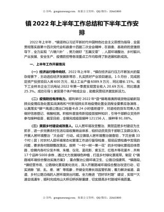 镇2022年上半年工作总结和下半年工作安排（2）