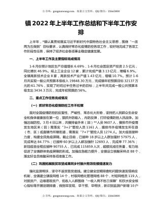 镇2022年上半年工作总结和下半年工作安排（4）