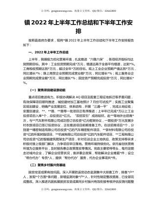 镇2022年上半年工作总结和下半年工作安排（5）