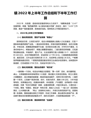 镇2022年上半年工作总结和下半年工作打算