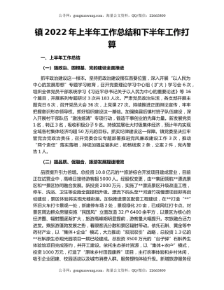 镇2022年上半年工作总结和下半年工作打算（2）