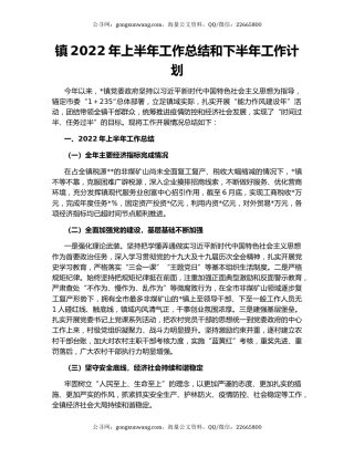 镇2022年上半年工作总结和下半年工作计划（3）