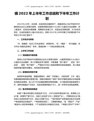 镇2022年上半年工作总结和下半年工作计划（4）