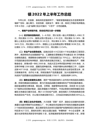 镇2022年上半年工作总结（2）
