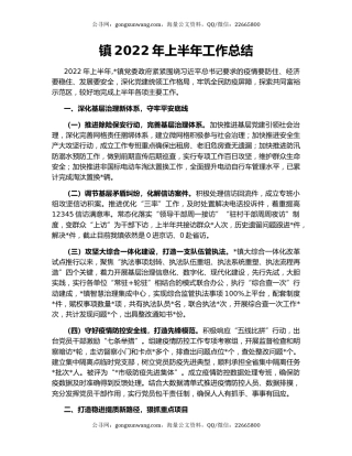 镇2022年上半年工作总结（5）