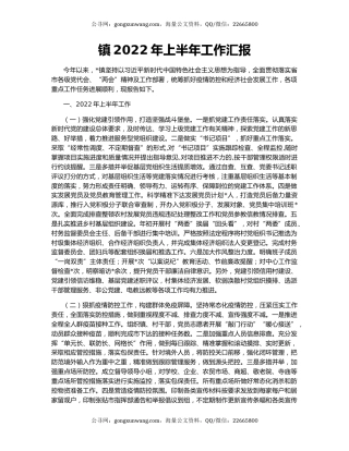 镇2022年上半年工作汇报