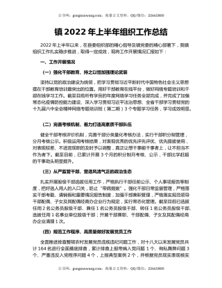镇2022年上半年组织工作总结