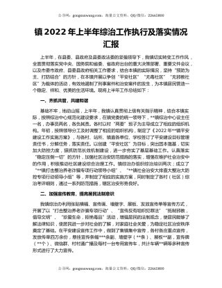 镇2022年上半年综治工作执行及落实情况汇报