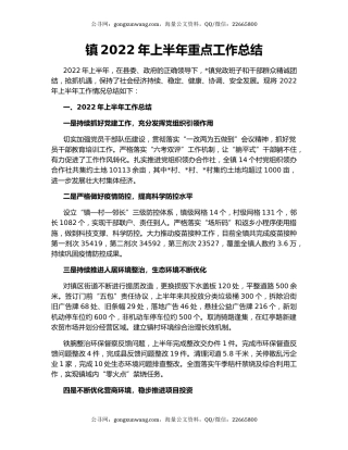 镇2022年上半年重点工作总结