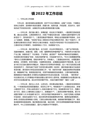 镇2022年工作总结