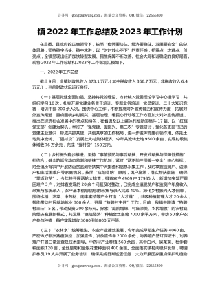 镇2022年工作总结及2023年工作计划（9）
