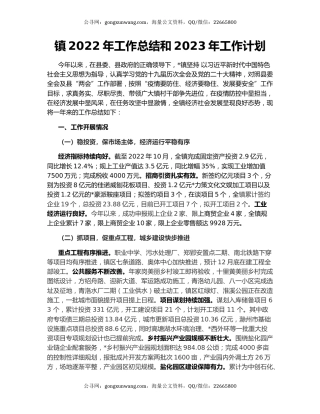 镇2022年工作总结和2023年工作计划（8）