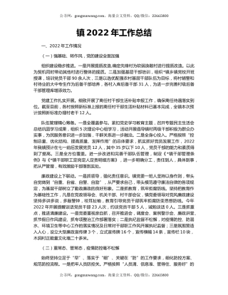 镇2022年工作总结（4）
