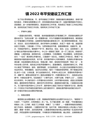镇2022年平安建设工作汇报