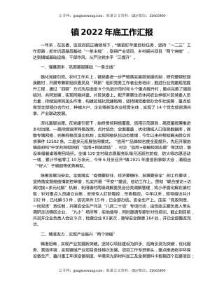 镇2022年底工作汇报