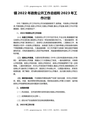 镇2022年政务公开工作总结和2023年工作计划