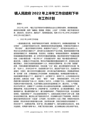 镇人民政府2022年上半年工作总结和下半年工作计划