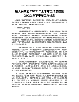 镇人民政府2022年上半年工作总结暨2022年下半年工作计划