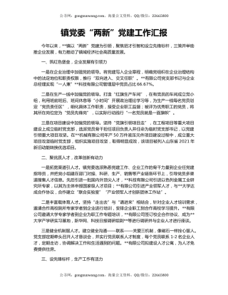 镇党委“两新”党建工作汇报