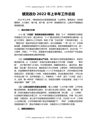 镇党政办2022年上半年工作总结