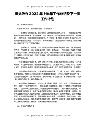 镇党政办2022年上半年工作总结及下一步工作计划
