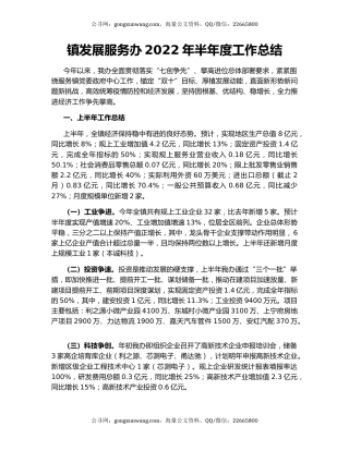 镇发展服务办2022年半年度工作总结