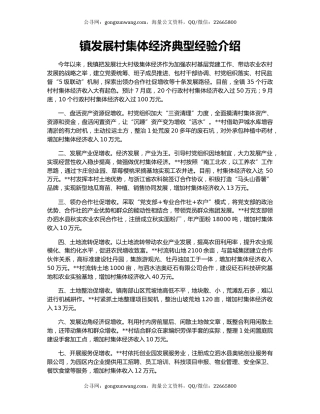 镇发展村集体经济典型经验介绍