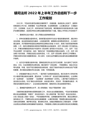 镇司法所2022年上半年工作总结和下一步工作规划