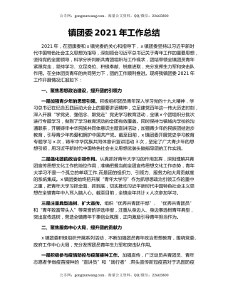 镇团委2021年工作总结（2）