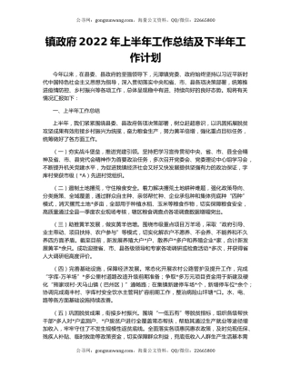 镇政府2022年上半年工作总结及下半年工作计划