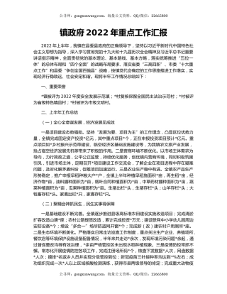 镇政府2022年重点工作汇报