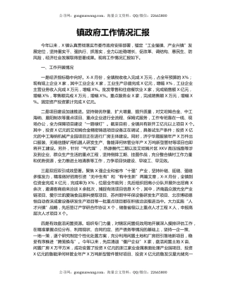 镇政府工作情况汇报