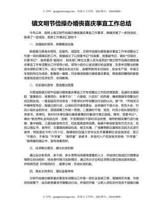 镇文明节俭操办婚丧喜庆事宜工作总结