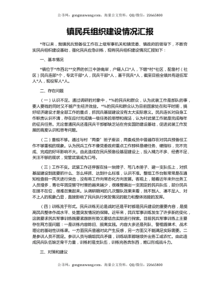 镇民兵组织建设情况汇报