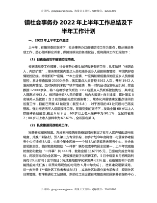 镇社会事务办2022年上半年工作总结及下半年工作计划