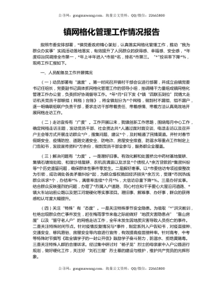 镇网格化管理工作情况报告