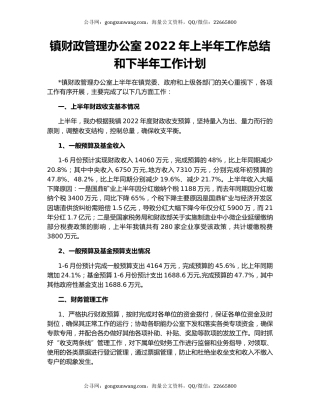 镇财政管理办公室2022年上半年工作总结和下半年工作计划