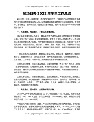 镇项目办2022年半年工作总结