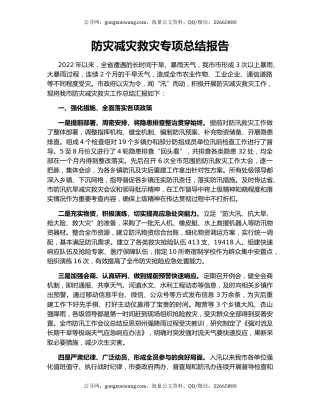 防灾减灾救灾专项总结报告