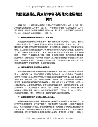 集团党委推进党支部标准化规范化建设经验材料