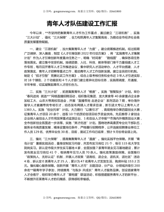 青年人才队伍建设工作汇报