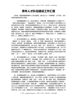 青年人才队伍建设工作汇报（3）