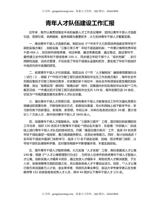 青年人才队伍建设工作汇报（4）