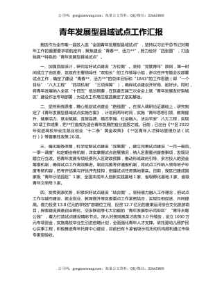 青年发展型县域试点工作汇报