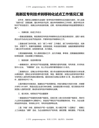 高新区专利技术转移转化试点工作情况汇报