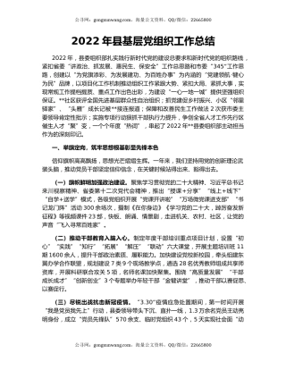 2022年县基层党组织工作总结