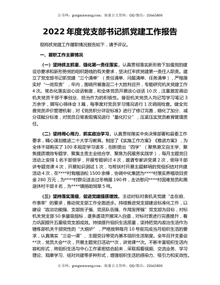 2022年度党支部书记抓党建工作报告